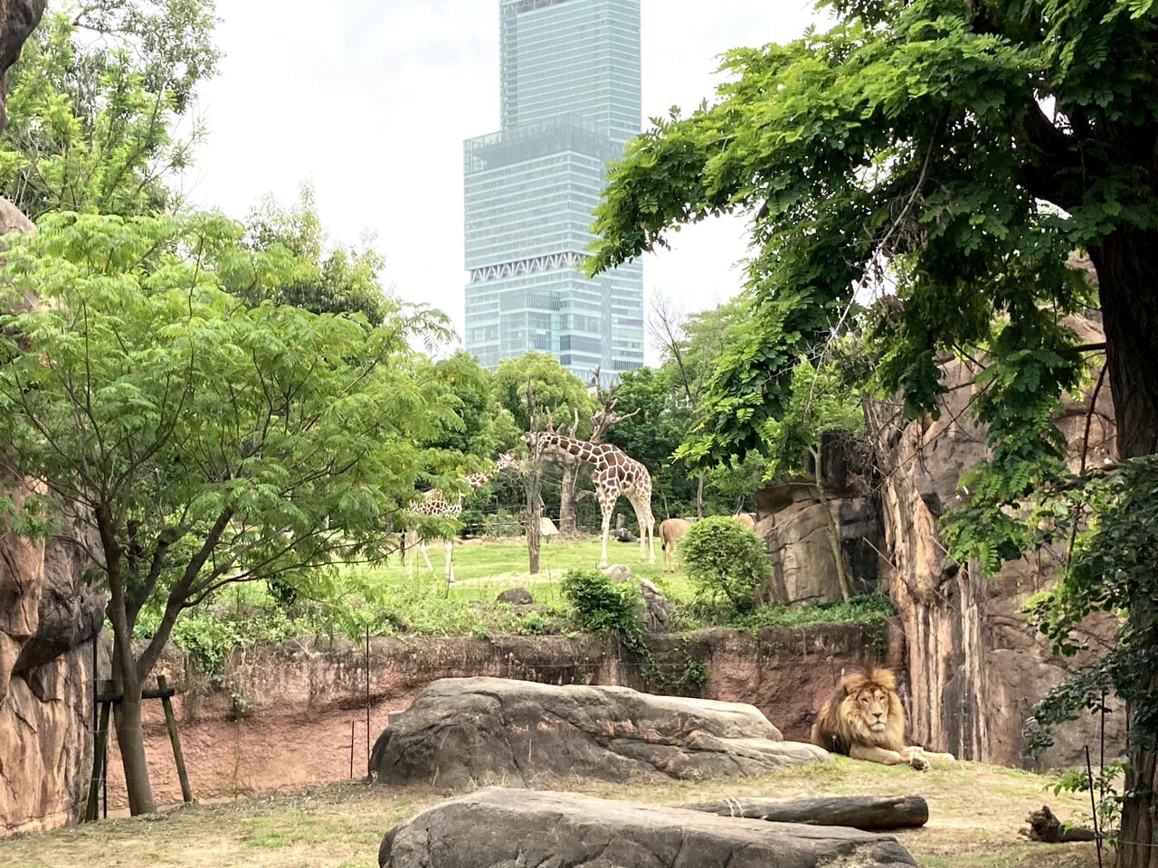 Osaka Tennoji Zoo