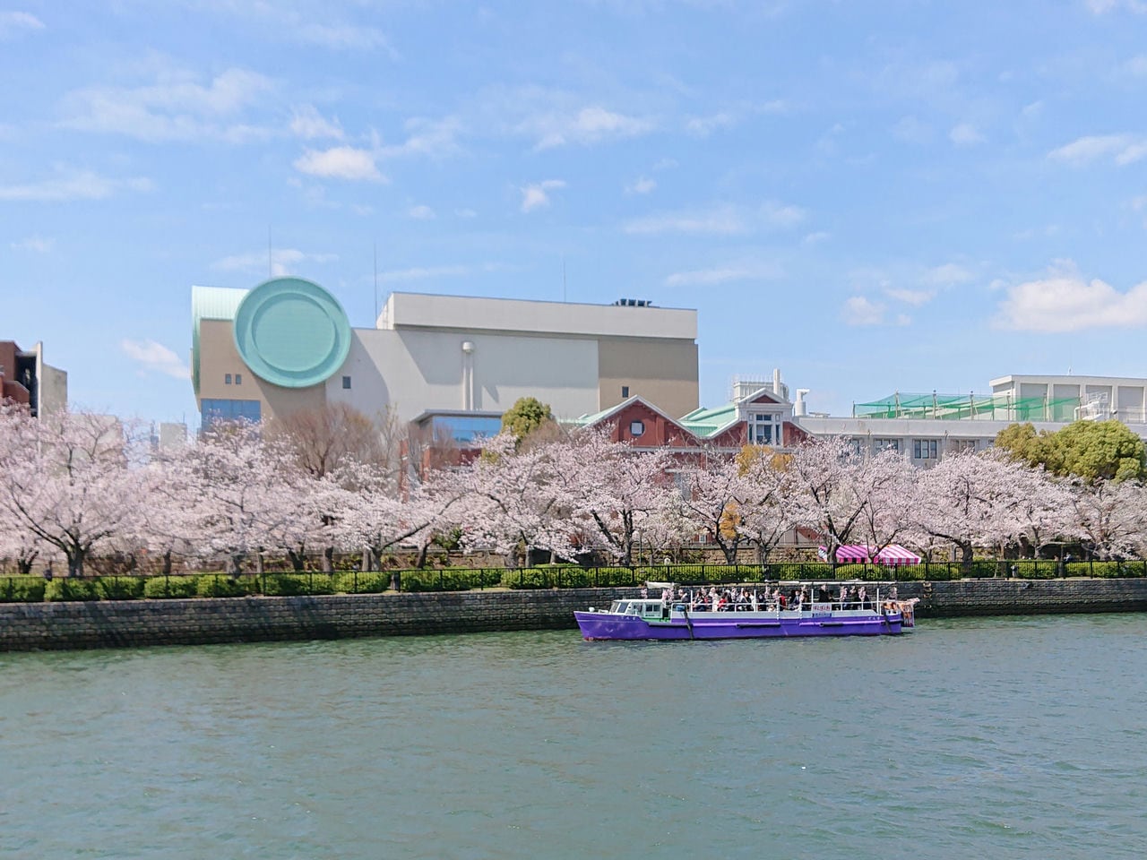 Okawa River Sakura Cruise