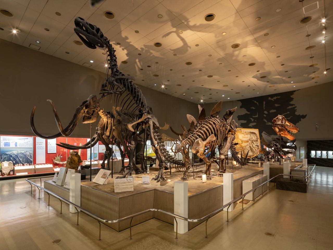 Osaka Museum of Natural History
